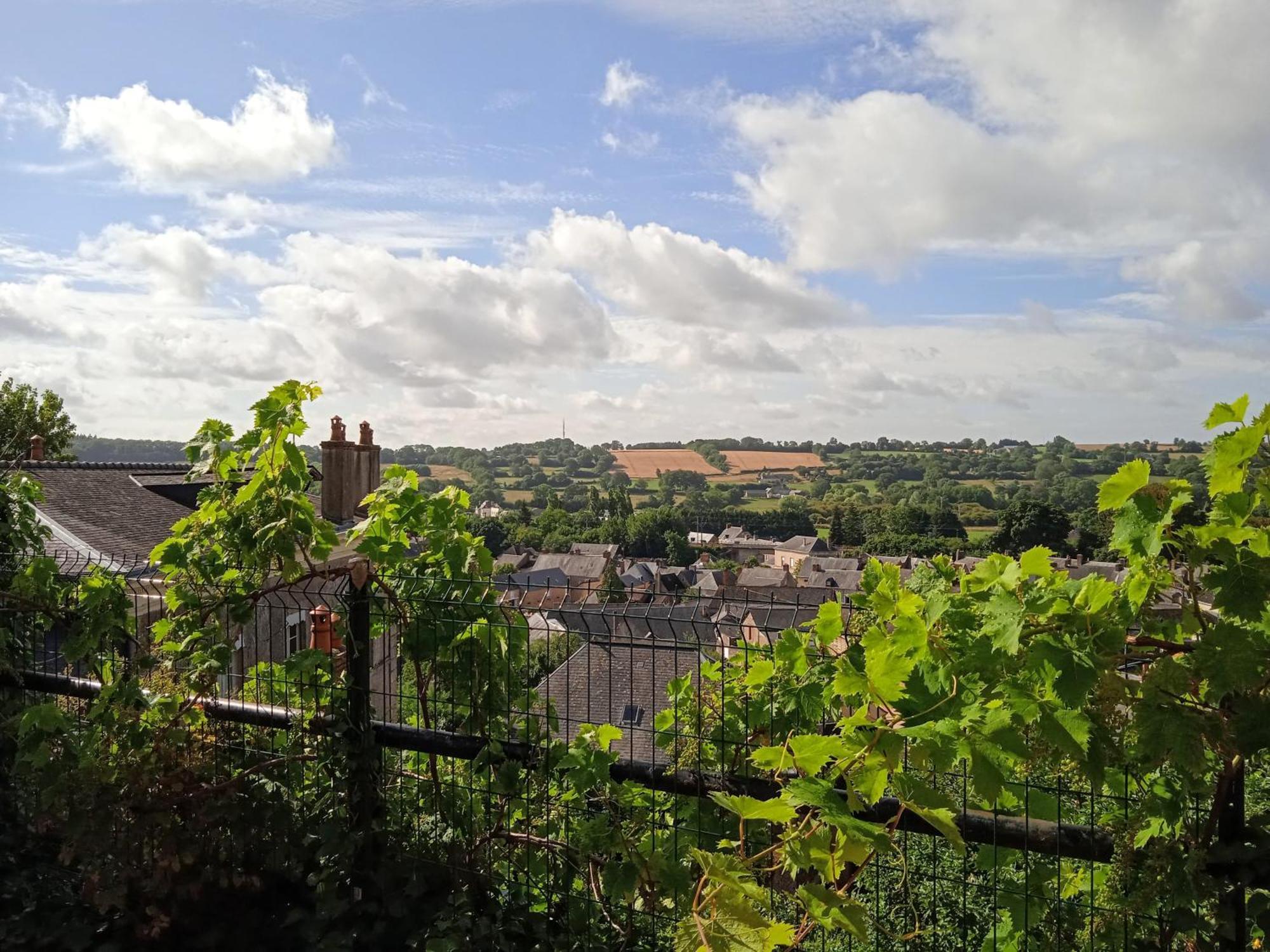 Charming Detached 2 Bedroom Ancient House In Medieval Quarter Of A Small Town In The Pays De La Loire, France Sillé-le-Guillaume Exterior photo